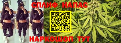 гидропоника Пугачёв