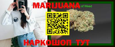 гидропоника Пугачёв