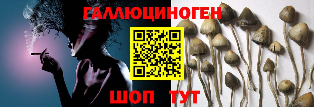 Псилоцибиновые грибы GOLDEN TEACHER Сарапул