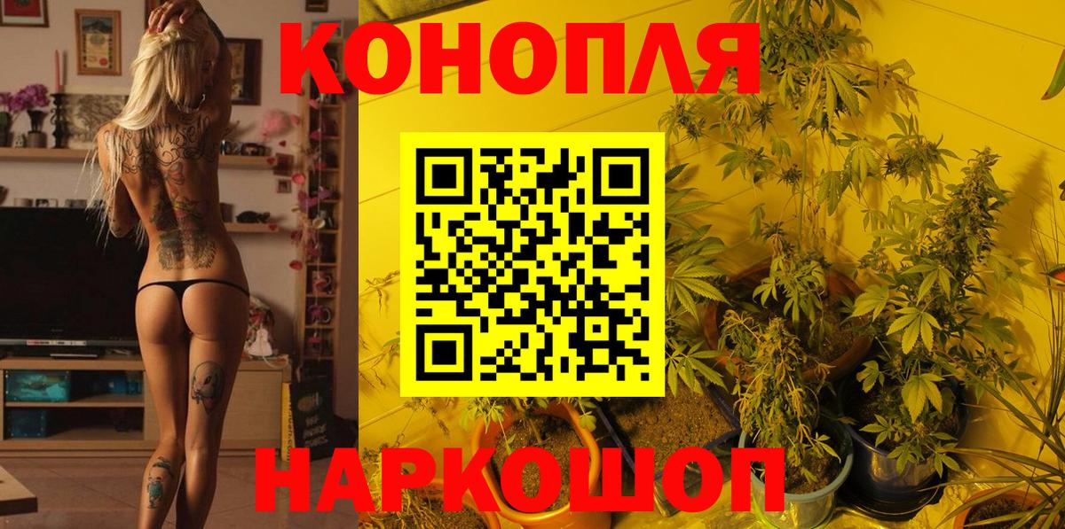 Канабис сатива Сарапул